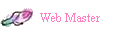 Web Master
